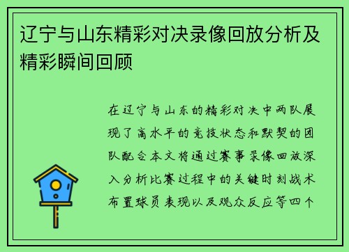 辽宁与山东精彩对决录像回放分析及精彩瞬间回顾