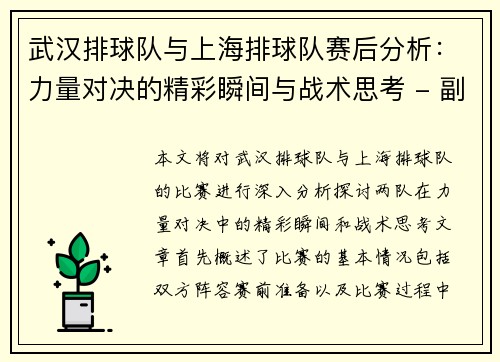武汉排球队与上海排球队赛后分析：力量对决的精彩瞬间与战术思考 - 副本