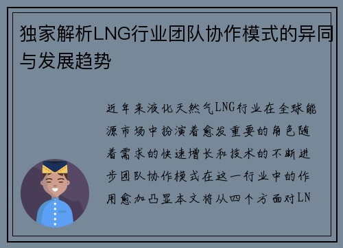 独家解析LNG行业团队协作模式的异同与发展趋势