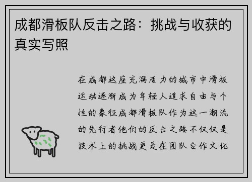 成都滑板队反击之路：挑战与收获的真实写照